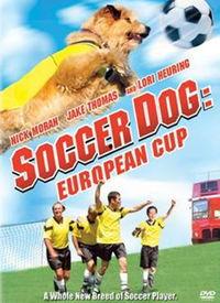 足坛神犬 在线观看,传奇犬只的足球传奇之旅  第1张