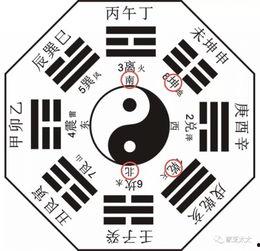 何老师爆料八卦图视频,八卦图视频背后的惊人真相  第1张