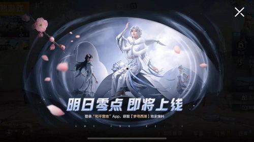 悲喜吃鸡新皮肤爆料最新,带你领略游戏时尚新潮流 第3张 悲喜吃鸡新皮肤爆料最新,带你领略游戏时尚新潮流 第3张